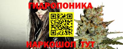 прущие крисы Сланцы