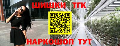 прущие крисы Сланцы