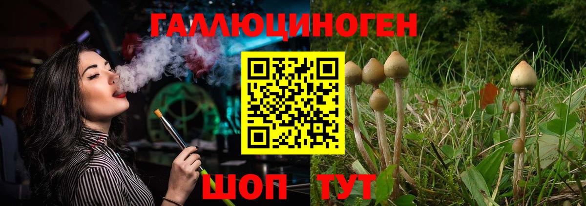 Псилоцибиновые грибы MAGIC MUSHROOMS  Вход с VPN  Псилоцибиновые грибы мицелий  Октябрьский 